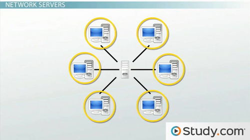 Linux网络编程高级技巧 端口复用的实现与优化